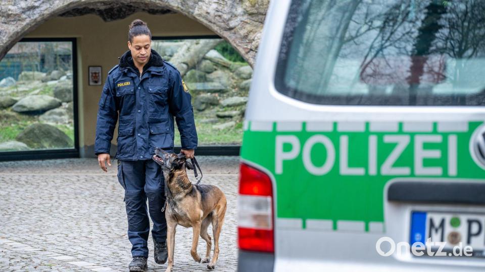 Polizeihundeführer sollen mehr Futtergeld bekommen. (Archivbild) Bild: Armin Weigel/dpa
