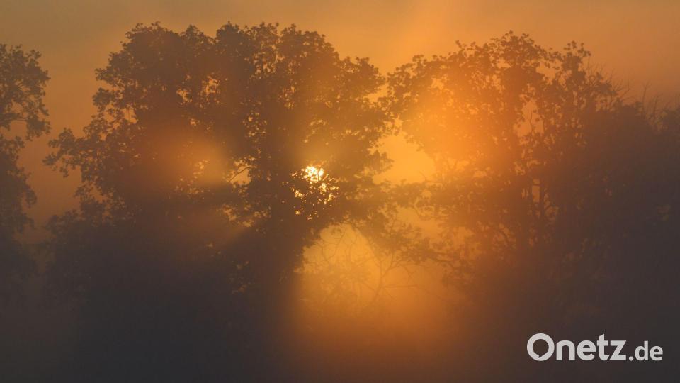 Der Sonnenaufgang scheint in Alt Zeschdorf am frühen Morgen durch den Nebel. In Berlin und Brandenburg bleibt es in den nächsten Tagen spätsommerlich mild. Bild: Patrick Pleul/dpa