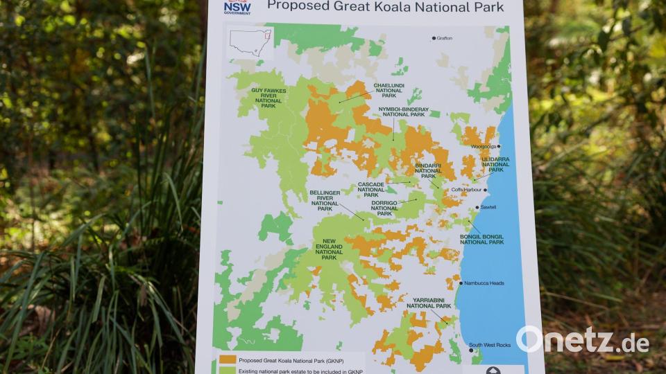 Der Nationalpark wird einer der größten in Australien. Bild: David Wigley/AAP/dpa