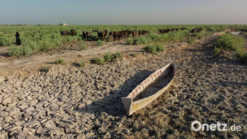 Der südliche Irak könnte wegen Wasserknappheit bald unbewohnbar werden. Bild: Nabil al-Jurani/AP/dpa