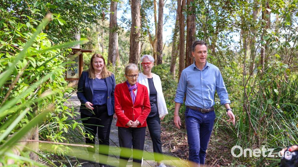 Der Premier von New South Wales, Chris Minns, hat sich stark für den riesigen Nationalpark eingesetzt. Bild: David Wigley/AAP/dpa
