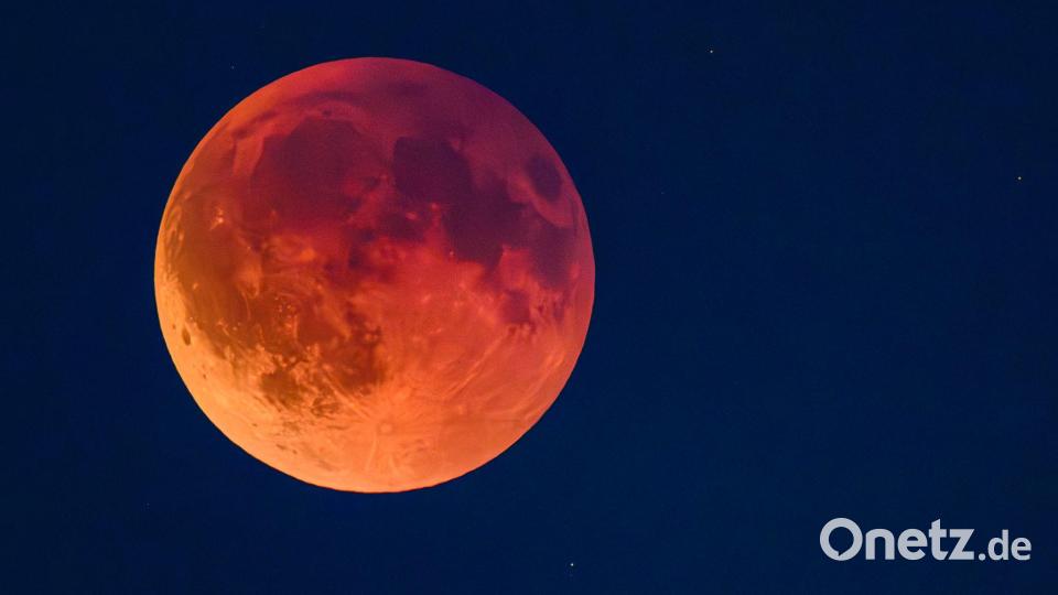 Eine totale Mondfinsternis ist als sogenannter Blutmond am Abendhimmel über Brandenburg zu sehen. Bild: Patrick Pleul/dpa