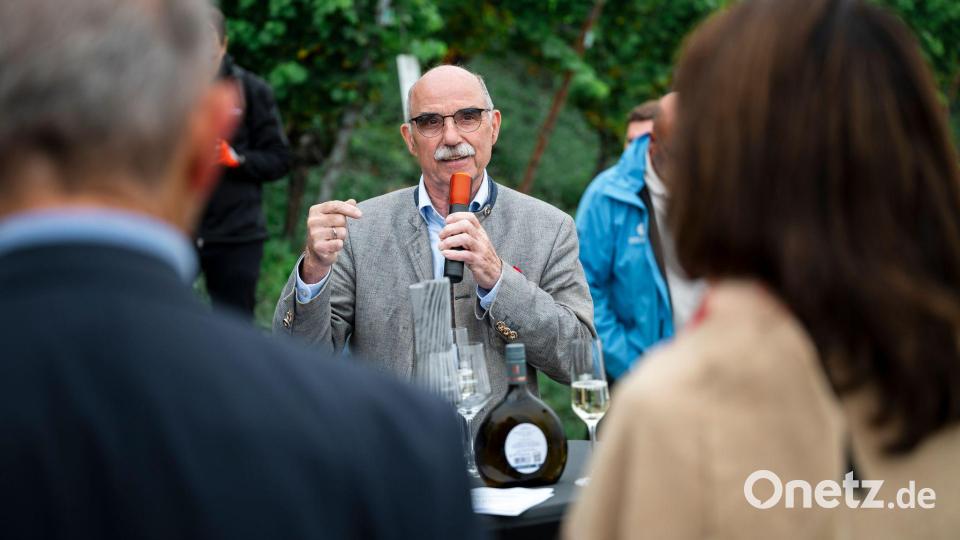 Die Kosten der Winzerinnen und Winzer sind laut Verbandspräsident Artur Steinmann um 30 bis 40 Prozent gestiegen. Bild: Daniel Vogl/dpa