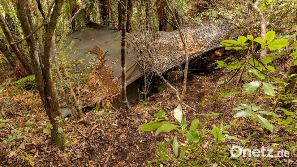 Das Hauptlager wurde in einem dichten Wald auf der Nordinsel entdeckt. Bild: NZ Police/dpa