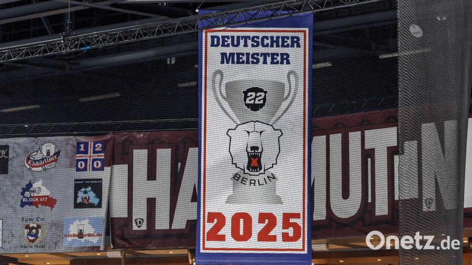 Im zweiten Versuch hängt auch das Meisterbanner seit Dienstagabend unter der Hallendecke. Bild: Andreas Gora/dpa