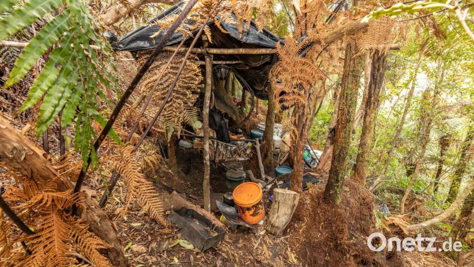 Das Camp war extrem gut versteckt. Bild: NZ Police/dpa