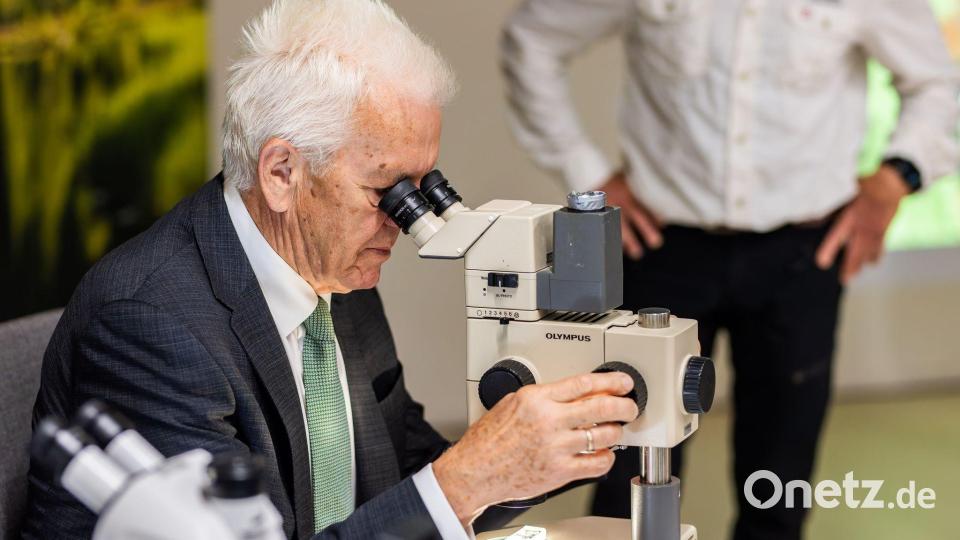 Man kann sie nur unter dem Mikroskop sehen: Die neue Bärtierchenart „Ramazzottius kretschmanni“. Bild: Philipp von Ditfurth/dpa