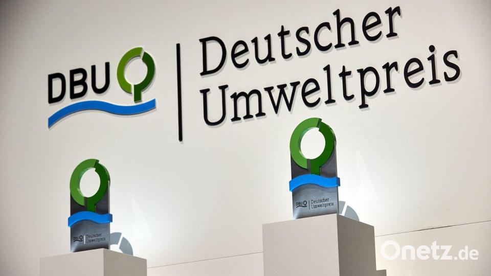 Der Deutsche Umweltpreis wird am 26. Oktober in Chemnitz von Bundespräsident Frank-Walter Steinmeier an die Preisträger überreicht. (Symbolbild) Bild: Georg Wendt/dpa