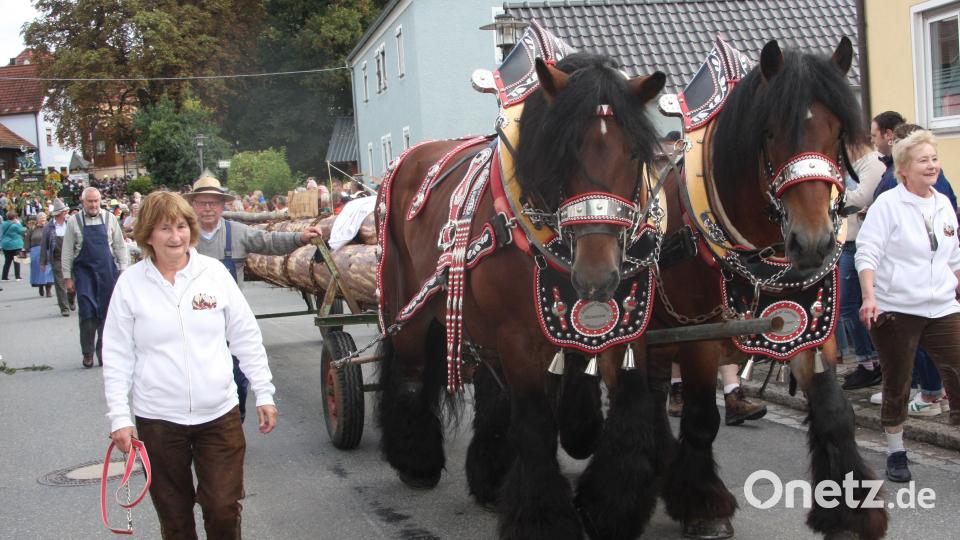 Zweifellos ein Blickfang war das Haflinger-Gespann aus dem Kemnather Land. Bild: wro