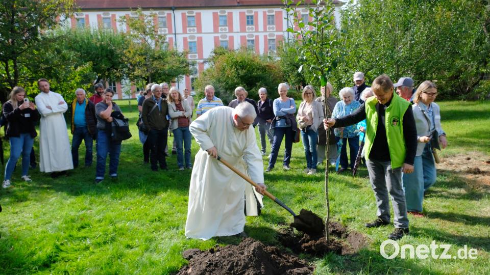 Symbolcharakter hatte das Pflanzen eines jungen &quot;Edelborsdorfers&quot; durch den Administrator des Klosters. Bild: do