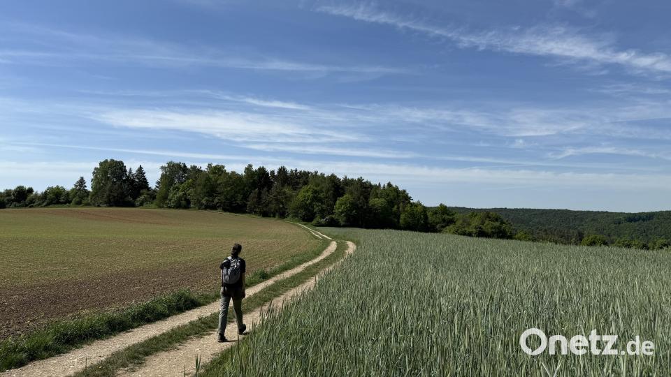 Bevor Wanderer die Burgruine erreichen, verläuft der Weg abwechslungsreich zwischen Wälder und Felder. Bild: Hohlheimer