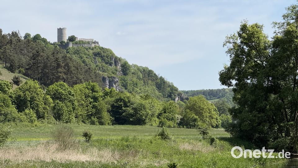 Auf dem Rückweg Richtung Traidendorf schlängelt sich der Wanderweg am Waldrand entlang der Vils. Wanderer haben von hier aus einen guten Blick auf die Burgruine, die auf einem Felsen über Kallmünz thront. Bild: Hohlheimer
