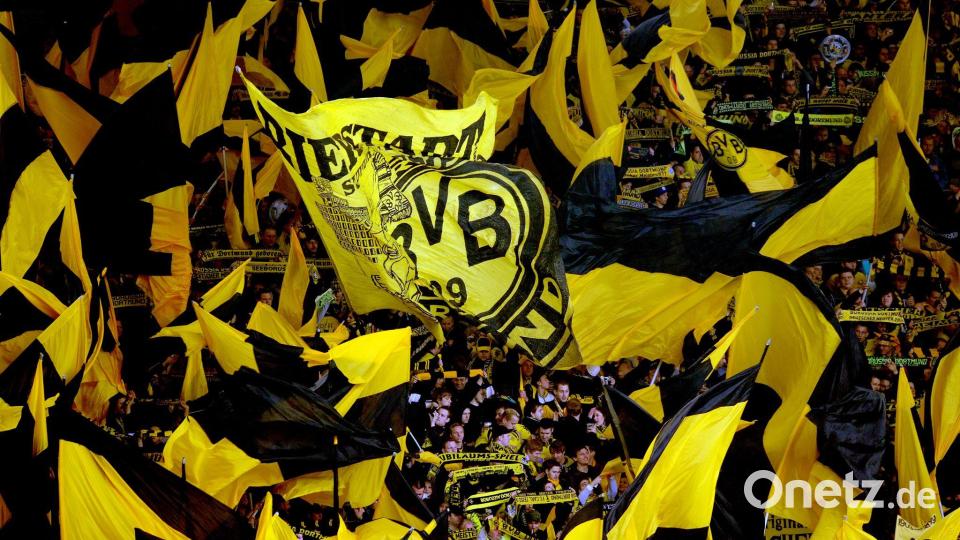 Die BVB-Fans sind in einem UEFA-Ranking auf Platz eins. Bild: Federico Gambarini/dpa
