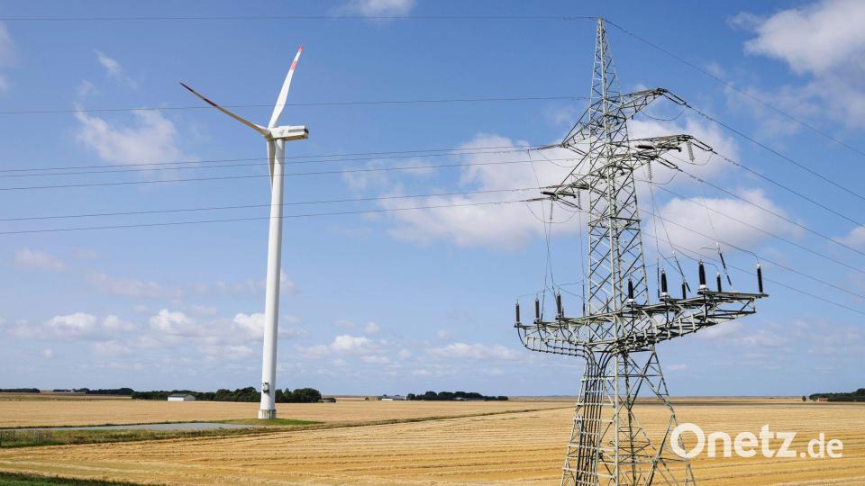 Freileitungen sind günstiger als Erdkabel. Bild: Frank Molter/dpa