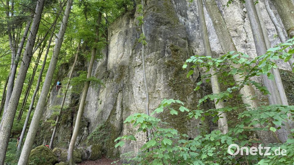 Zwischen Kallmünz und Traidendorf befinden sich einige Felsen im Wald, die auch bei Kletterern beliebt sind. Bild: Hohlheimer