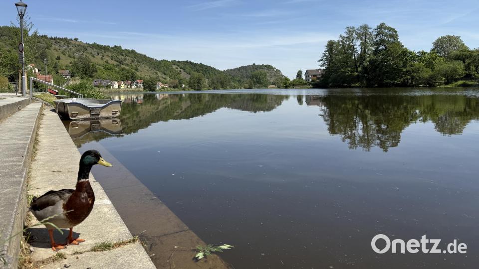 Abkühlung an den Naab-Terrassen. Bild: Hohlheimer