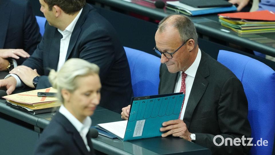 Generaldebatte zum Haushalt 2025 im Bundestag - Weidel und Kanzler Merz Bild: Kay Nietfeld/dpa