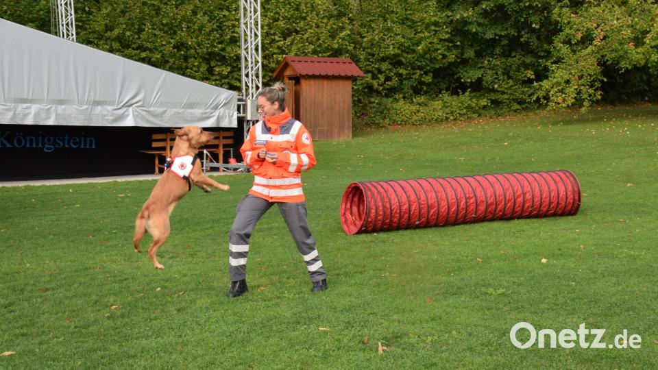 Eine Hundeführerin des BRK und ihr Hund zeigten, was die Rettungshundestaffel kann. Bild: hdk