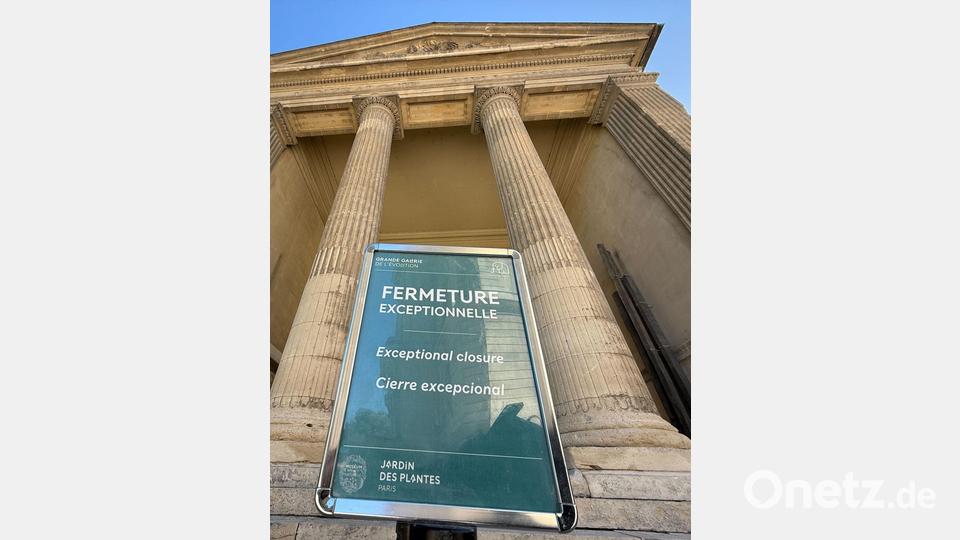 Aufgrund des Diebstahls wurde das Museum vorübergehend geschlossen. Bild: Rachel Sommer/dpa