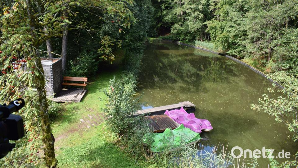 Zum zwei Hektar großen Areal des Landjugendheims gehört neben einer Spiel- und Sportwiese auch ein Badeteich. Bild: bnr