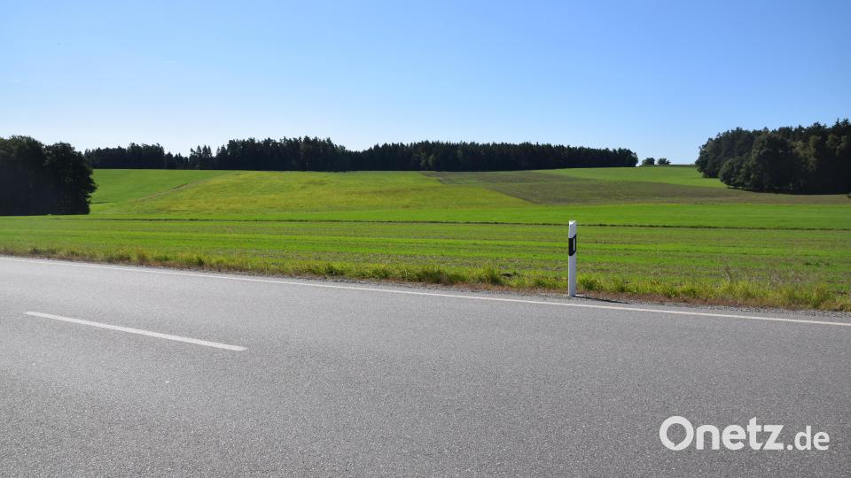 Die Fläche für Windräder von der Bundesstraße 15 aus gesehen. Statt knapp drei sollen jetzt neun Hektar ausgewiesen werden. Dagegen protestiert der Gemeinderat. Bild: fz