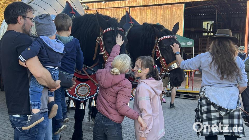 Mit dem Planwagen mitfahren oder wenigstens die Pferde streicheln zu dürfen, war ein Wunsch vieler Kinder. Bild: mma