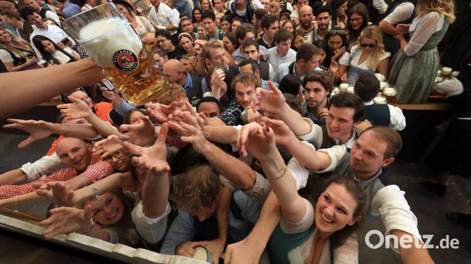 Das erste Bier gibt es am Anstichstag erst um 12 Uhr - entsprechend groß der Durst. (Archivbild von 2024) Bild: Karl-Josef Hildenbrand/dpa