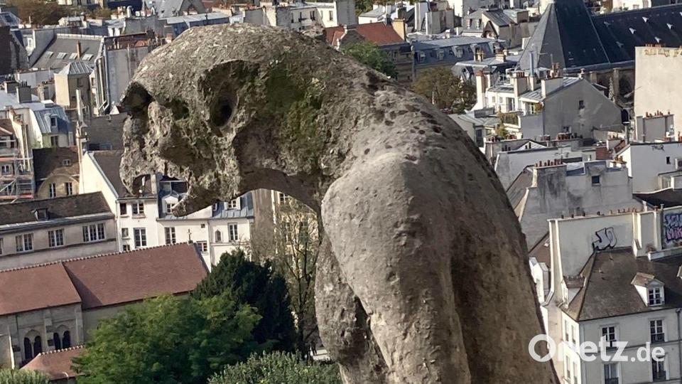 Chimären, die steinernen Mischwesen wachen über Notre-Dame. Bild: Sabine Glaubitz/dpa