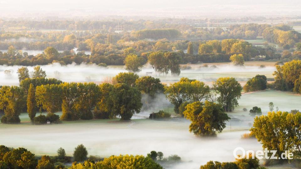 Bäume im Nebel: Dichte Nebelschwaden ziehen bei Sonnenaufgang durch die Leinemasch in der Region Hannover. Bild: Julian Stratenschulte/dpa