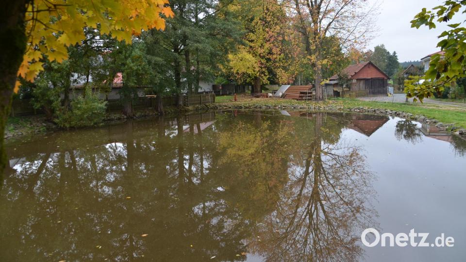 Der Dorfweiher inmitten der Ortschaft Zeulenreuth. Bild: ak