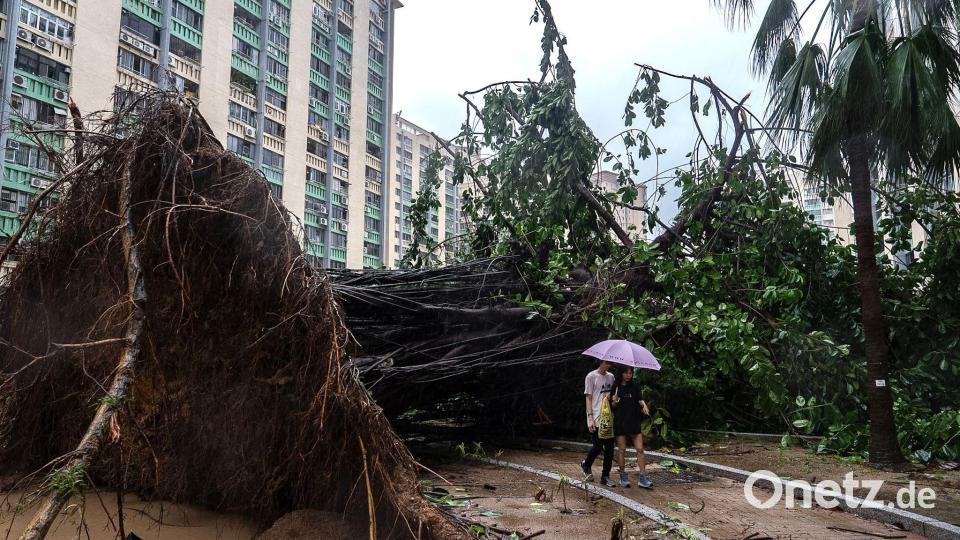 In Hongkong stürzten Hunderte Bäume um. Bild: Chan Long Hei/AP/dpa