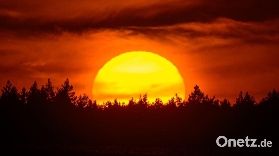 Farbenprächtig leuchtet der Sonnenuntergang hinter einem Waldgebiet im östlichen Brandenburg. Bild: Patrick Pleul/dpa