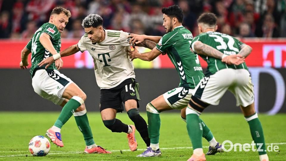 Kaum zu stoppen: Bayern-Angreifer Luis Díaz gegen drei Bremer. Bild: Harry Langer/dpa