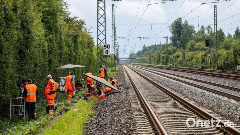 Nach einem Anschlag werden Kabel repariert. (Archivbild) Bild: Christoph Reichwein/dpa