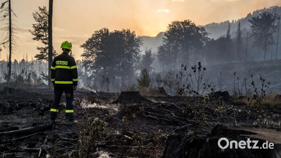 2022 wütete ein heftiger Waldbrand im Grenzland zwischen Sachsen und Tschechien. Archivbild: Hájek Vojtìch/CTK/dpa