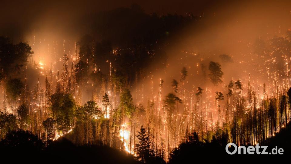 Der verheerende Waldbrand 2022 im sächsisch-tschechischen Grenzland stellte die Einsatzkräfte vor großen Herausforderungen. Archivbild: Robert Michael/dpa