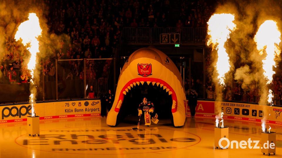 Kölns Torwart Felix Brückmann fährt auf das Eis der Lanxess Arena- Bild: Rolf Vennenbernd/dpa