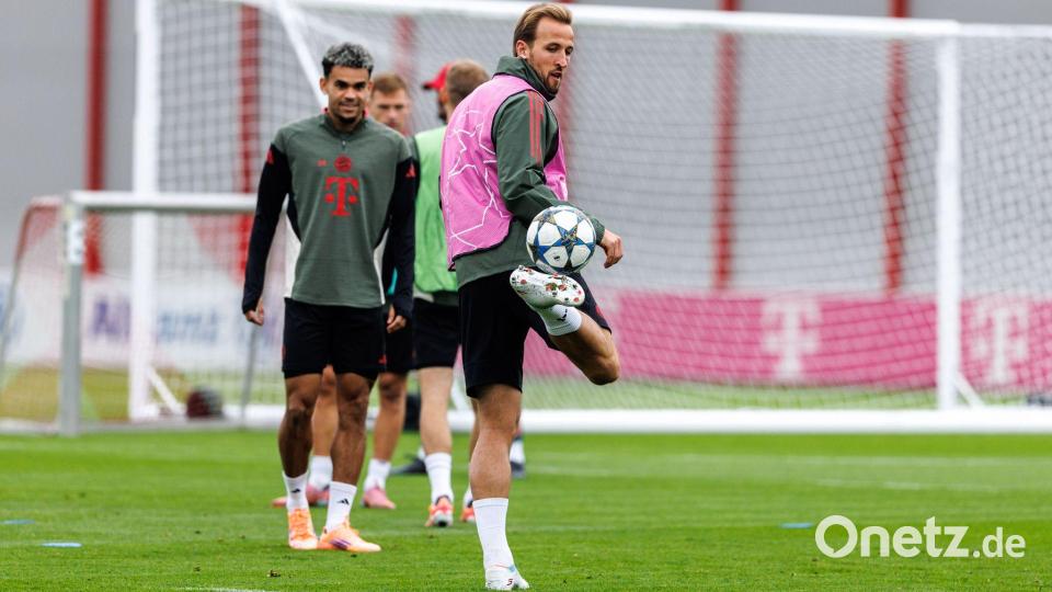 Ist Harry Kane auch auf Zypern wieder Bayerns Erfolgsgarant? Bild: Matthias Balk/dpa