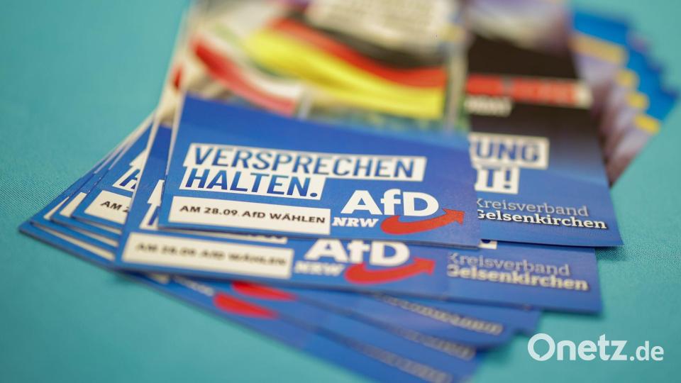 Die AfD brachte keinen ihrer Kandidaten in den Stichwahlen durch. Bild: Christoph Reichwein/dpa