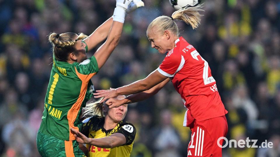 Pokalfight in Dortmund: Bayern-Star Harder trifft auf BVB-Talent van der Laan Bild: Federico Gambarini/dpa