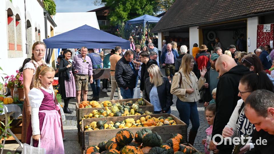 Zum Kernsortiment beim Hoffest zählen die bunten Ziekürbisse Bild: war