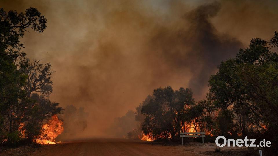 Buschbrände in Australien nördlich von Perth Bild: Evan Collis/DEPARTMENT OF FIRE AND EMERGENCY SERVICES/AAP/dpa
