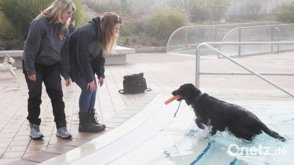 Die neue Vorsitzende des Tierschutzvereins Schwandorf, Nicole Schmidl (links), und ihre Stellvertreterin Jana Nießen hielten die Hunde bei Laune. Bild: Hirsch
