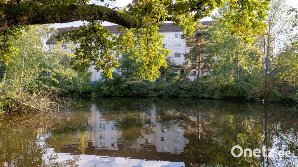 Der See hatte am Samstag viel Schaum auf dem Wasser, Fische verendeten. Bild: Daniel Karmann/dpa