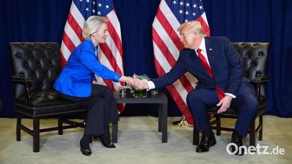 EU-Kommissionschefin Ursula von der Leyen hat US-Präsident Donald Trump in Aussucht gestellt, dass EU-Unternehmen künftig noch mehr LNG in Amerika kaufen. (Archivbild) Bild: Evan Vucci/AP/dpa