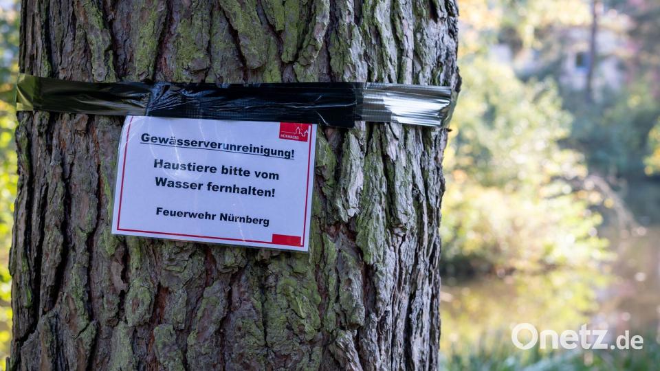 Nun wurden Warnschilder angebracht, Hunde sollen nicht mehr ins Wasser gelassen werden. Bild: Daniel Karmann/dpa