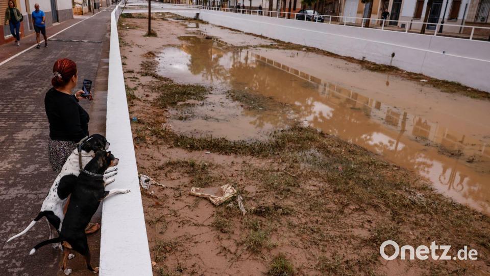 In Mitleidenschaft gezogen wurden vor allem die Region Valencia sowie Ibiza und Formentera. Bild: Rober Solsona/EUROPA PRESS/dpa
