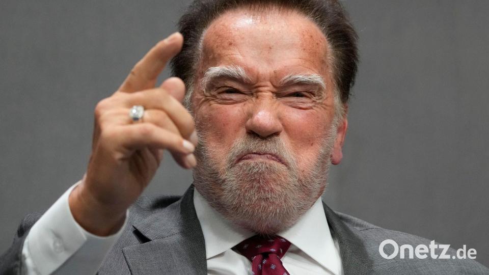 Schwarzenegger im Vatikan: Klimagipfel für Gerechtigkeit in Rom Bild: Gregorio Borgia/AP/dpa