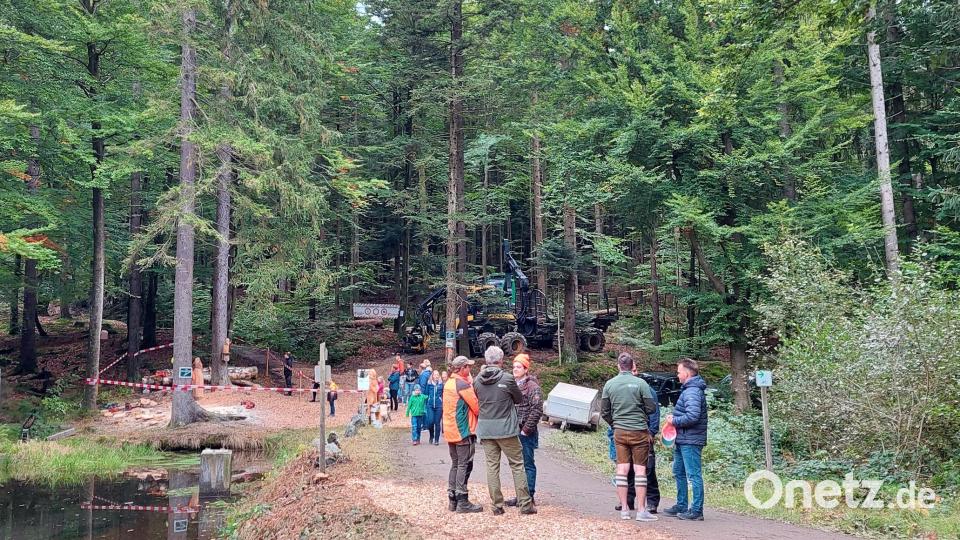 Das Motorsägen filigran und schwere Forstmaschinen Wald schonend arbeiten zeigten die Waldarbeiter zusammen mit der Firma Haneder. Bild: Iris Franz/Bayerische Staatsforsten