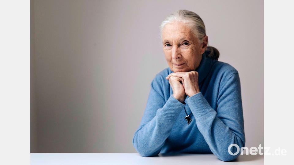 Die berühmte Schimpansenforscherin Jane Goodall ist im Alter von 91 Jahren gestorben. (Archivbild) Bild: Victoria Will/Invision/AP/dpa